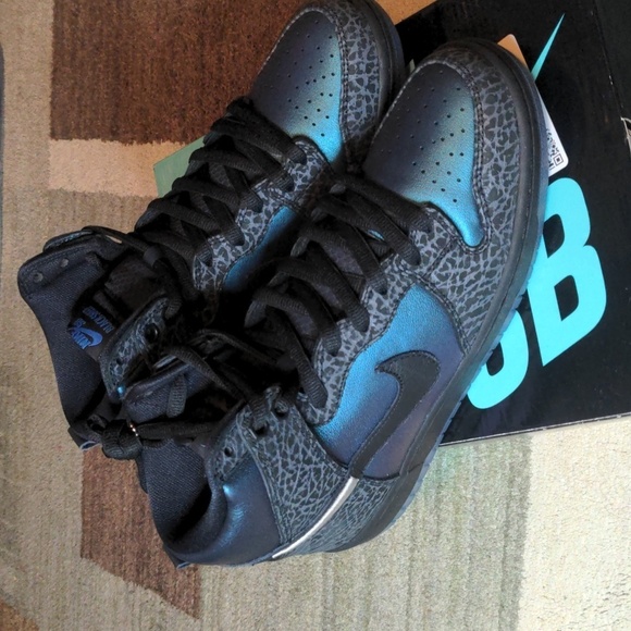 Nike Other - Nike SB Dunk High Pro QS Mens